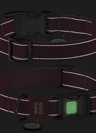 Collar WauDog Nylon Mono Obroża nylonowa odblaskowa z QR-paszportem, plastikowy fastex, M 20mm/28-40cm jasnozielona