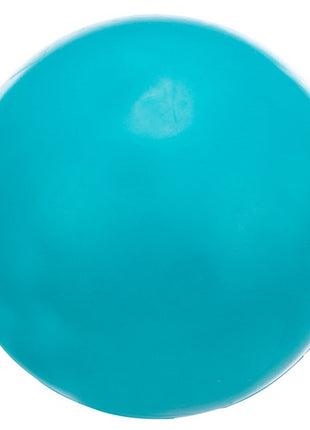 Trixie Piłka gumowa 8cm twarda [TX-3303]