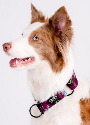 CHABA Obroża półzaciskowa Story III L Lakota