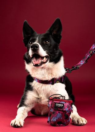 CHABA Obroża regulowana Story III S Lakota