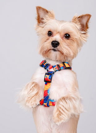 CHABA Szelki Guard Story III L 2,5cm Aussie