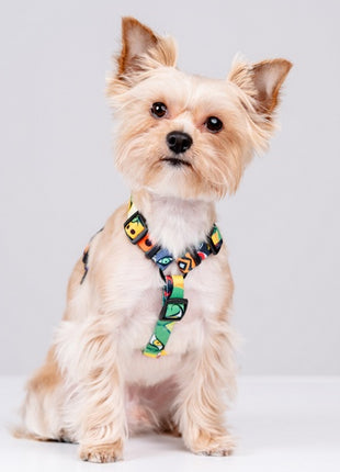 CHABA Szelki Guard Story III XL 3,0cm Jumbo