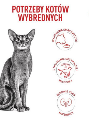 Royal Canin Fussy Exigent karma sucha dla kotów dorosłych, wybrednych 2kg