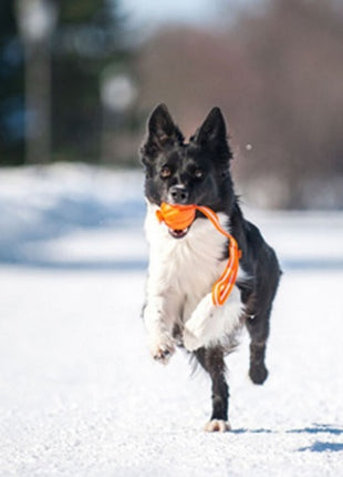 Collar Liker7 Line o średnicy 7cm