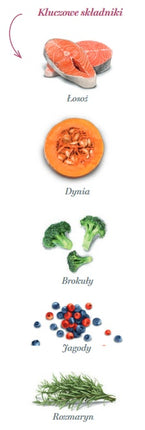 Amanova Dog Adult Mini Sensitive Salmon Deluxe - łosoś 7kg