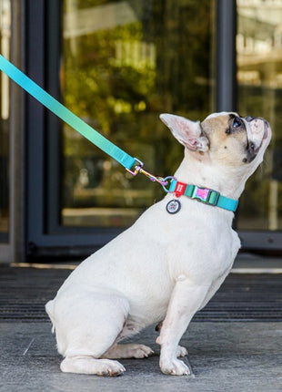 Collar WauDog Recycled Obroża nylonowa z QR-paszportem, gradient XL 25mm x 37-58cm niebieski