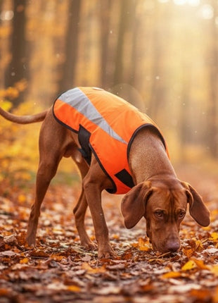 Zolux Kamizelka odblaskowa R.35 pomarańczowa