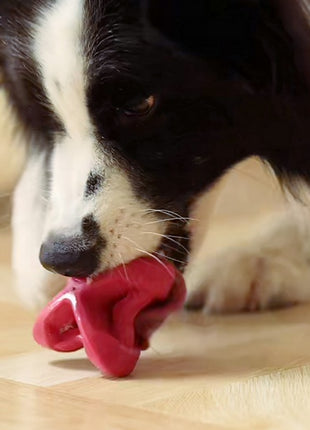 PetDreamHouse Zabawka gumowa Geo-Astro Rolly błękitna