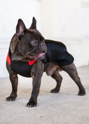 Chaba Ubranko regulowane Wear Magnifique XS czerwone