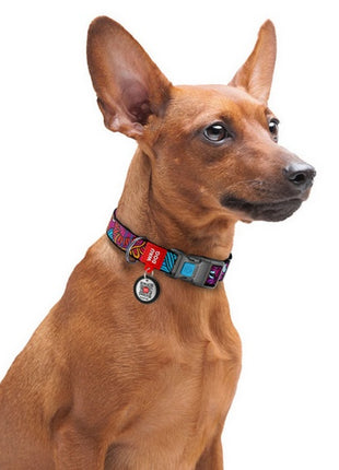 Collar WauDog Nylon Obroża nylonowa z QR-paszportem, plastikowy fastex, wzór LATO, 20mm/28-40cm