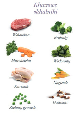 Amanova Dog Adult Brilliant Beef & Chicken - wołowina i kurczak saszetka 100g [P01]