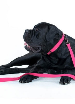 Collar Waterproof Smycz wodoodporna S 15mm/183cm różowa