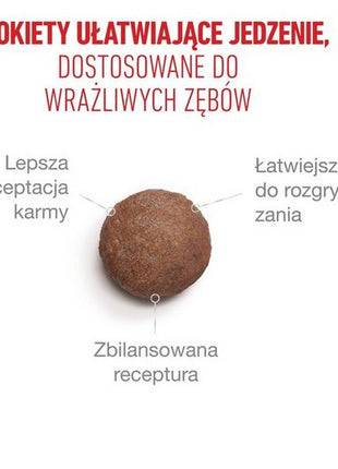 Royal Canin Ageing +15 karma sucha dla kotów dojrzałych 2kg