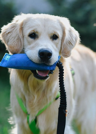 Dingo Zabawka dla psa - Szarpak z węża strażackiego z rączką bungee niebieski