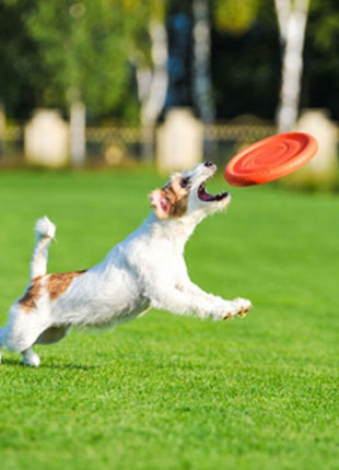 Collar PitchDog24 Latający dysk 24cm pomarańczowy