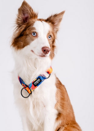 CHABA Obroża półzaciskowa Story III M Aussie