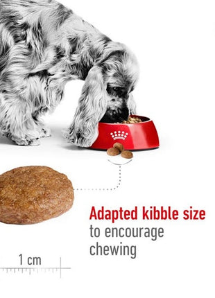 Royal Canin Medium Adult 7+ karma sucha dla psów dorosłych, ras średnich 15kg