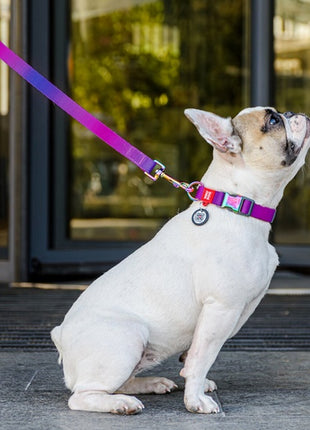 Collar WauDog Recycled Obroża nylonowa z QR-paszportem, gradient L 25mm/33-49cm fioletowy