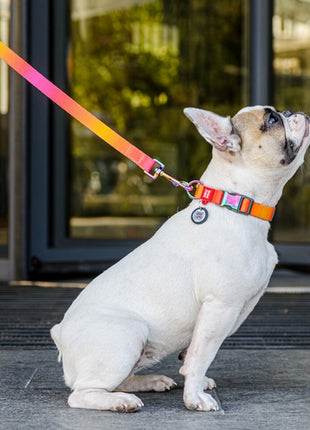 Collar WauDog Recycled Obroża nylonowa z QR-paszportem, gradient L 25mm/33-49cm pomarańczowy