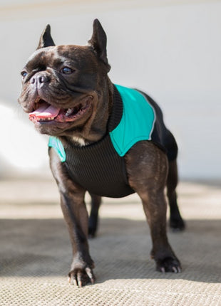 Chaba Ubranko regulowane Wear Magnifique M zielone