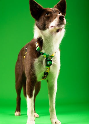 CHABA Szelki Guard Story III L 2,5cm Jumbo