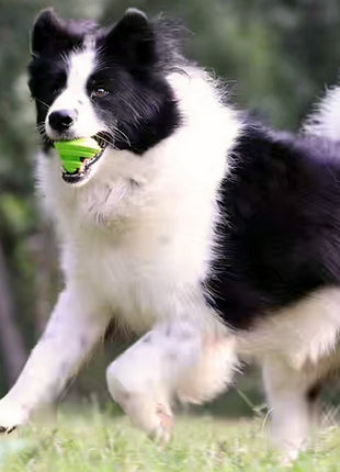 PetDreamHouse Zabawka gumowa Geo-Gem Rolly zielona