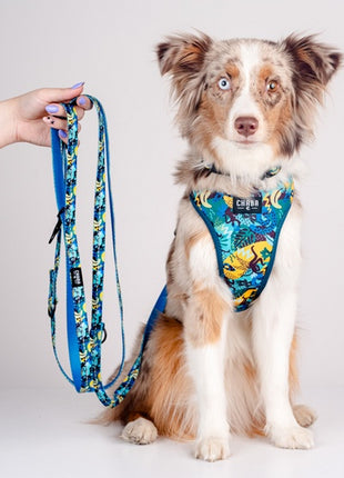 CHABA Smycz regulowana Story III S 16mm/260cm Carnival