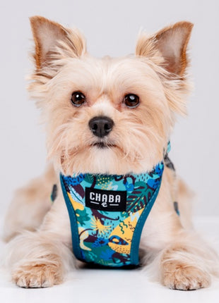 CHABA Szelki Guard Comfort Story III bezuciskowe L 2,0cm Carnival