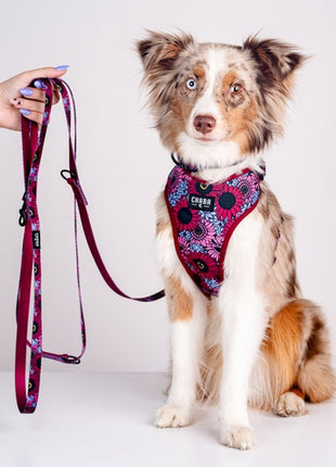 CHABA Smycz regulowana Story III S 16mm/260cm Lakota