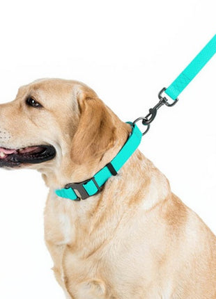 Collar WauDog Waterproof Smycz wodoodporna akumulująca światło M 20mm/183cm