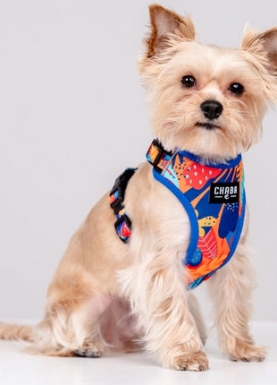 CHABA Szelki Guard Comfort Story III bezuciskowe M 1,6cm Aussie