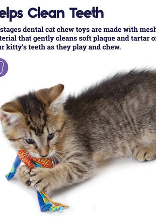 Petstages Gryzaki do higieny zębów kota PS326