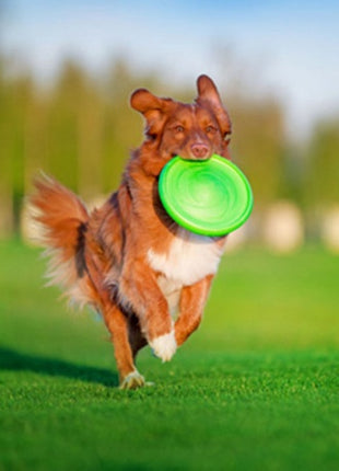 Collar Flyber Latający spodek 22cm jasnozielony