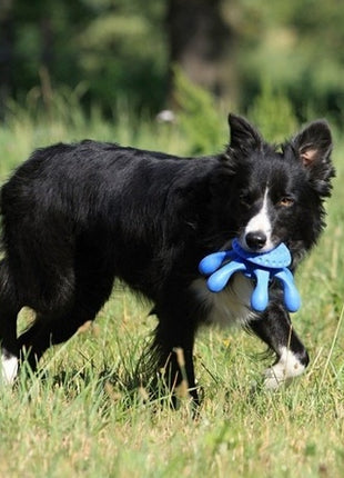 Kiwi Walker Let's Play Octopus Mini ośmiornica niebieska