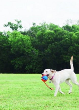 Chuckit! Rope Fetch [32220]