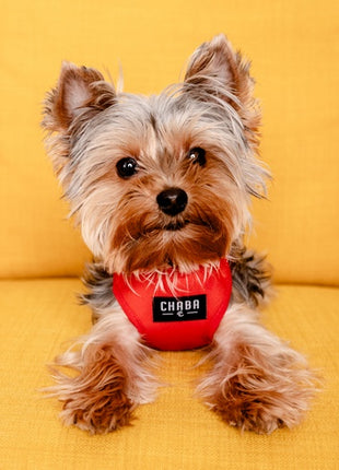 CHABA Szelki Guard Comfort Classic L czerwone