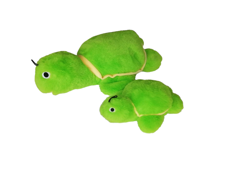 Gor Hugs Baby Tortoise