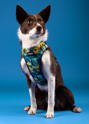 CHABA Szelki Guard Comfort Story III bezuciskowe M 1,6cm Carnival