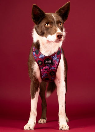 CHABA Szelki Guard Comfort Story III bezuciskowe S 1,6cm Lakota