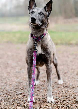 CHABA Smycz regulowana Story III M 20mm/260cm Lakota