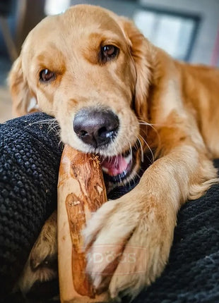 4DOGS Gryzak z drzewa oliwnego S