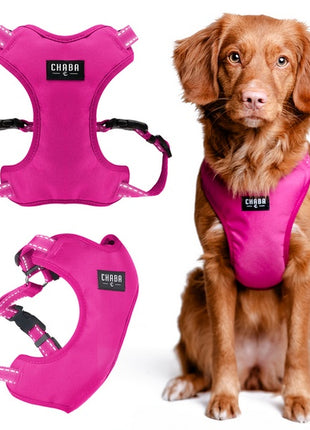 CHABA Szelki Guard Comfort Classic M fuksja