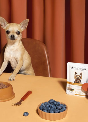 Amanova Dog Adult Exquisite Chicken - kurczak saszetka 300g [P03]
