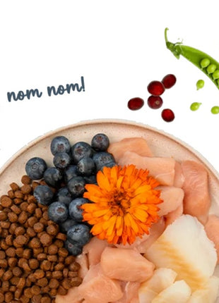 Sanabelle Adult Forelle - z pstrągiem 2kg