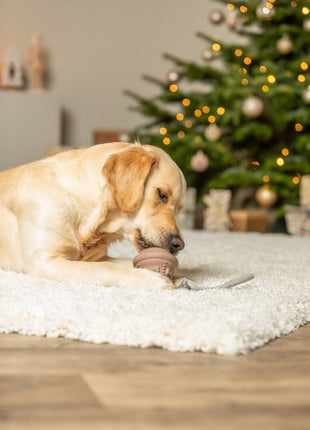 Trixie Zabawka Świąteczna dla psa Dzwonek z linką beżowy 12/36cm [TX-92018]