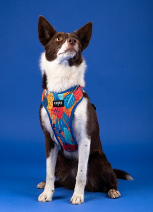 CHABA Szelki Guard Comfort Story III bezuciskowe M 1,6cm Aussie