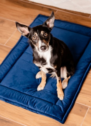 MIMIKO Pets Mata Velvet 100x70cm granat