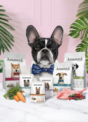 Amanova Dog Adult Large Exquisite Chicken - kurczak 12kg