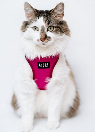 CHABA Szelki Guard Comfort Classic XL fuksja