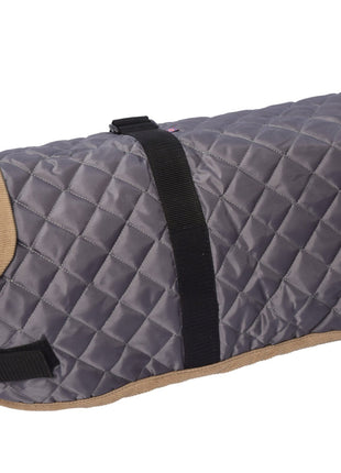 Gor Pets Outdoor Worcester Coat